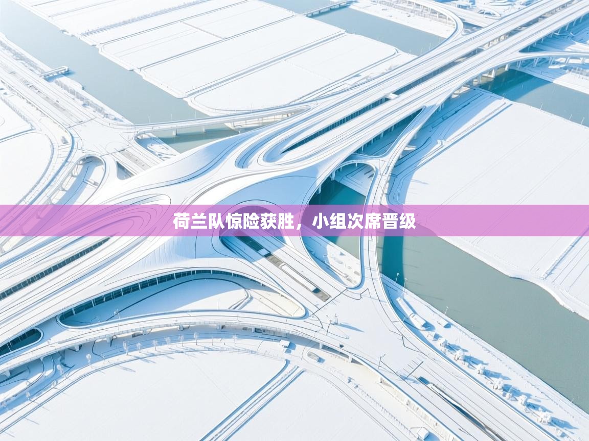 荷兰队惊险获胜，小组次席晋级  第2张